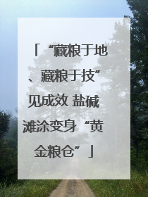 “藏粮于地、藏粮于技”见成效 盐碱滩涂变身“黄金粮仓”