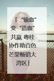 “输血”变“造血”共赢 粤桂协作助百色芒果畅销大湾区