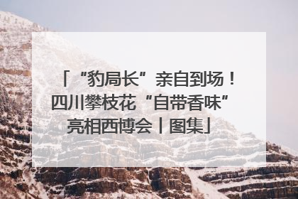 “豹局长”亲自到场！四川攀枝花“自带香味”亮相西博会丨图集