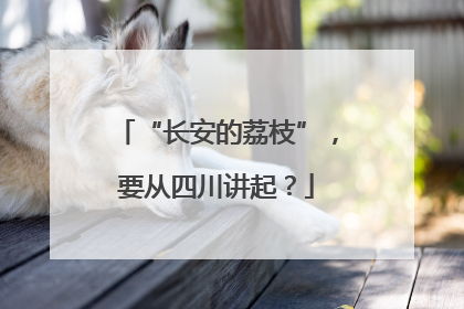 “长安的荔枝”，要从四川讲起？