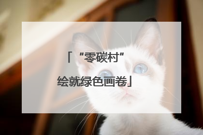 “零碳村” 绘就绿色画卷