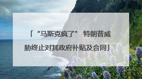 “马斯克疯了” 特朗普威胁终止对其政府补贴及合同