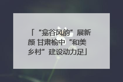 “龛谷风韵”展新颜 甘肃榆中“和美乡村”建设动力足