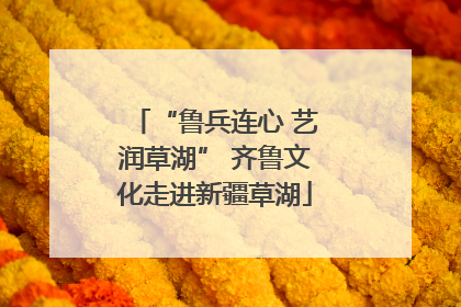 “鲁兵连心 艺润草湖” 齐鲁文化走进新疆草湖