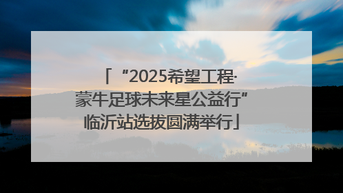 “2025希望工程·蒙牛足球未来星公益行”临沂站选拔圆满举行