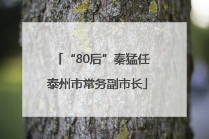 “80后”秦猛任泰州市常务副市长
