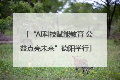 “AI科技赋能教育 公益点亮未来”德阳举行