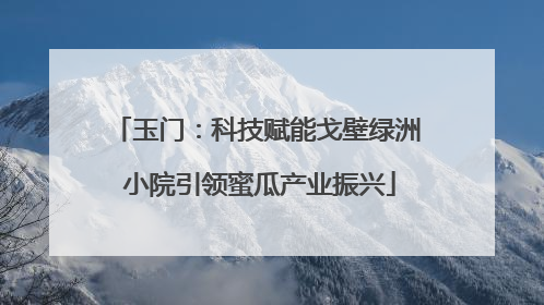玉门：科技赋能戈壁绿洲 小院引领蜜瓜产业振兴