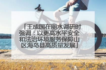 王成国在丽水调研时强调：以更高水平安全和法治环境服务保障山区海岛县高质量发展
