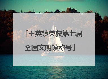 王英镇荣获第七届全国文明镇称号
