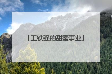 王铁强的甜蜜事业