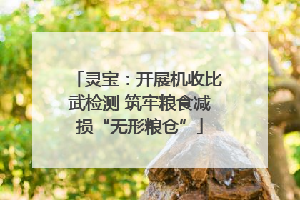 灵宝：开展机收比武检测 筑牢粮食减损“无形粮仓”