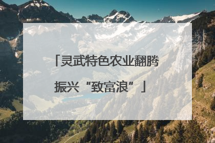 灵武特色农业翻腾振兴“致富浪”
