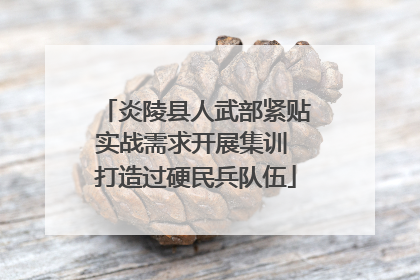 炎陵县人武部紧贴实战需求开展集训 打造过硬民兵队伍