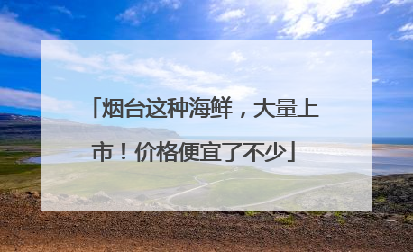 烟台这种海鲜，大量上市！价格便宜了不少