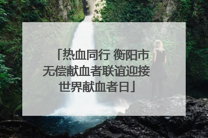 热血同行 衡阳市无偿献血者联谊迎接世界献血者日