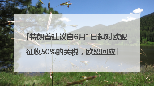 特朗普建议自6月1日起对欧盟征收50%的关税，欧盟回应