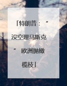 特朗普：“没空理马斯克” 欧洲抛橄榄枝