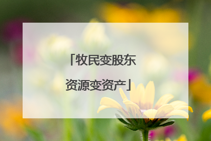 牧民变股东 资源变资产