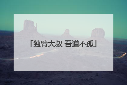 独臂大叔 吾道不孤