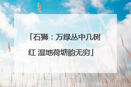 石狮：万绿丛中几树红 湿地荷塘韵无穷