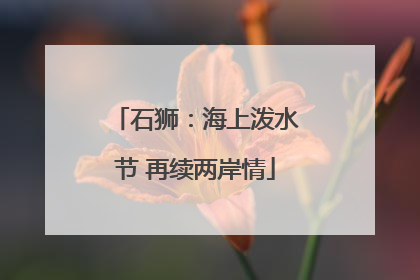 石狮：海上泼水节 再续两岸情