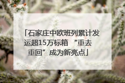 石家庄中欧班列累计发运超15万标箱 “重去重回”成为新亮点