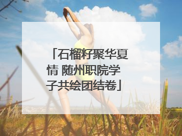石榴籽聚华夏情 随州职院学子共绘团结卷