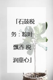 石鼓税务：粽叶飘香 税润童心