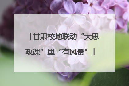 甘肃校地联动“大思政课”里“有风景”