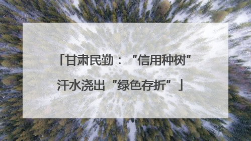 甘肃民勤：“信用种树” 汗水浇出“绿色存折”
