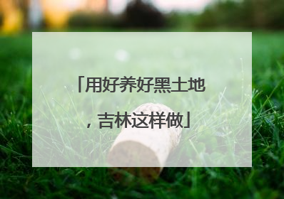 用好养好黑土地，吉林这样做