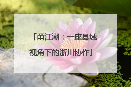 甬江潮：一座县域视角下的浙川协作