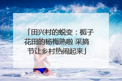 田兴村的蜕变：栀子花田的杨梅熟啦 采摘节让乡村热闹起来
