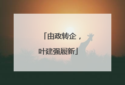 由政转企，叶建强履新