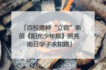 百校播种“立德”新苗《阳光少年报》照亮南召学子求知路