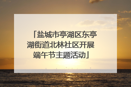 盐城市亭湖区东亭湖街道北林社区开展端午节主题活动