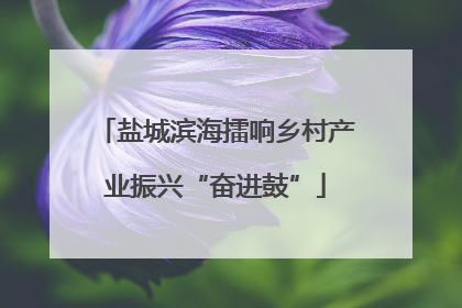 盐城滨海擂响乡村产业振兴“奋进鼓”