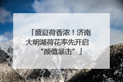 盛夏荷香浓！济南大明湖荷花率先开启“颜值暴击”