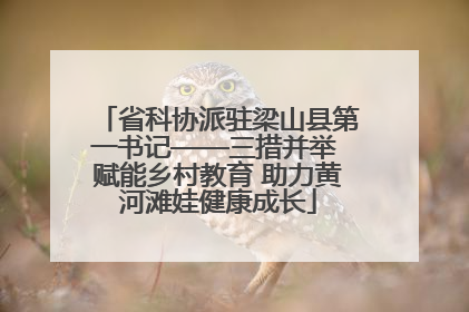 省科协派驻梁山县第一书记——三措并举 赋能乡村教育 助力黄河滩娃健康成长