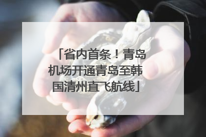 省内首条！青岛机场开通青岛至韩国清州直飞航线