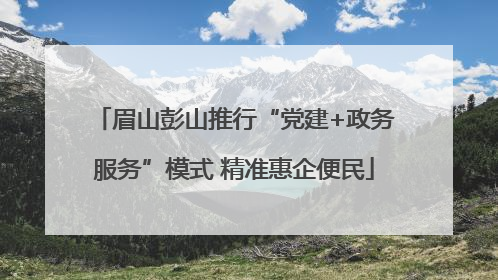 眉山彭山推行“党建+政务服务”模式 精准惠企便民