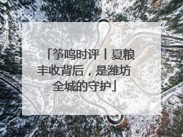 筝鸣时评丨夏粮丰收背后，是潍坊全城的守护