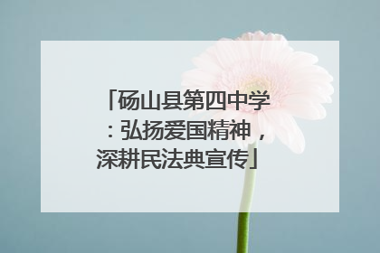 砀山县第四中学：弘扬爱国精神，深耕民法典宣传