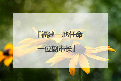 福建一地任命一位副市长