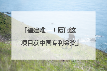 福建唯一！厦门这一项目获中国专利金奖