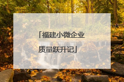 福建小微企业质量跃升记
