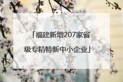 福建新增207家省级专精特新中小企业