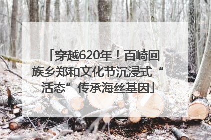 穿越620年！百崎回族乡郑和文化节沉浸式“活态”传承海丝基因