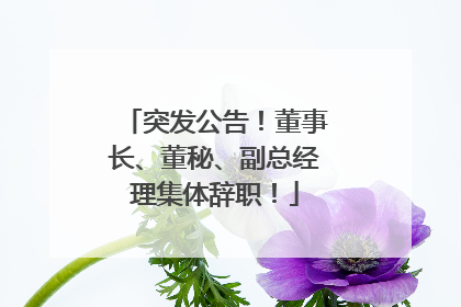 突发公告！董事长、董秘、副总经理集体辞职！